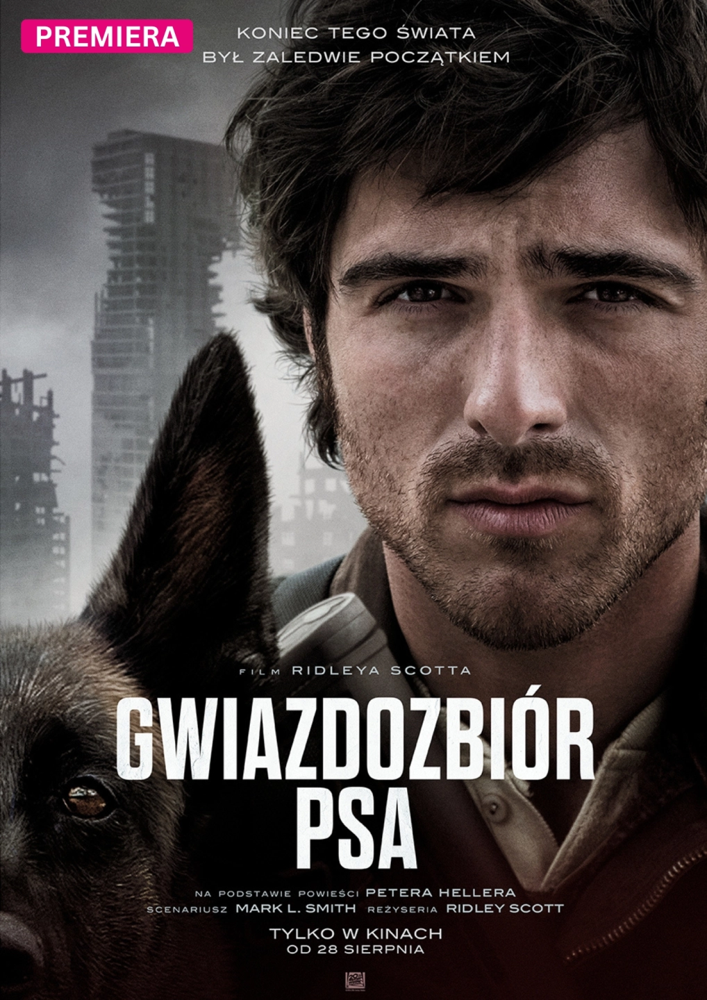Gwiazdozbiór psa